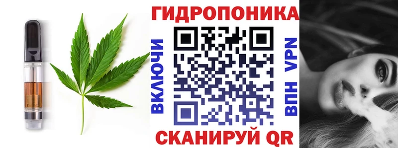 shop Telegram Углич Cannafood конопля сколько стоит
