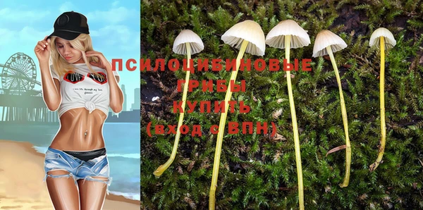 a pvp Армянск